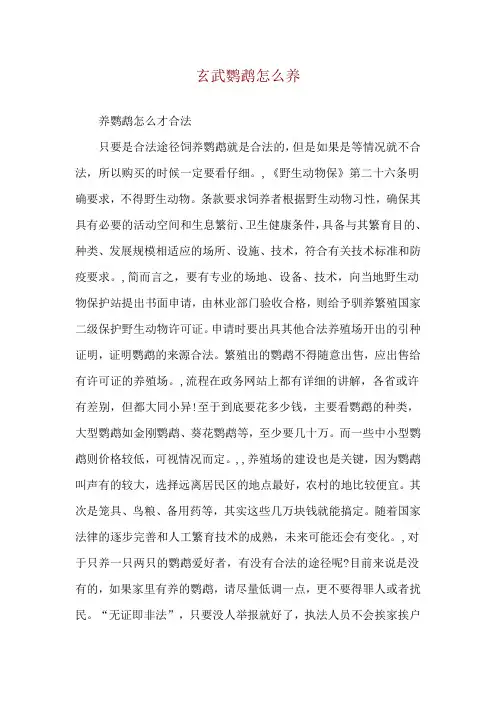 玄武鹦鹉怎么养