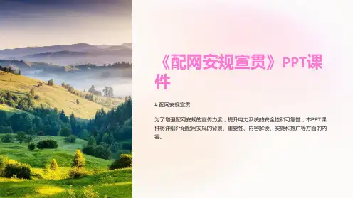 《配网安规宣贯》课件