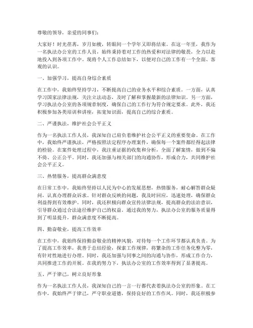 执法办公室个人工作总结