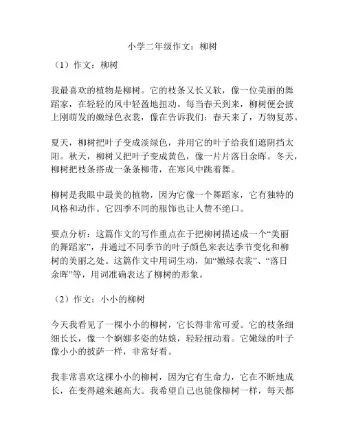 小学二年级作文：柳树
