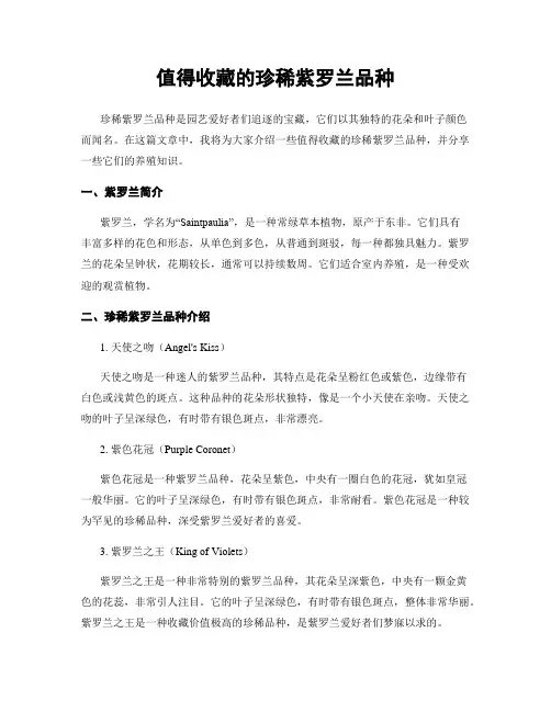 值得收藏的珍稀紫罗兰品种