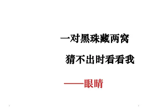 小学主题班会课件-爱护眼睛远离近视(共14张ppt)-全国通用