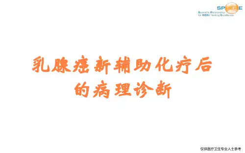乳腺癌新辅助化疗后的病理诊断