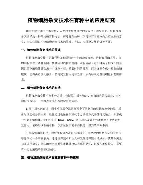 植物细胞杂交技术在育种中的应用研究