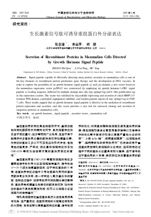生长激素信号肽可诱导重组蛋白外分泌表达