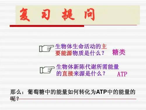 5.3呼吸作用