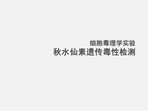 细胞毒理学实验五秋水仙素遗传毒性的检测