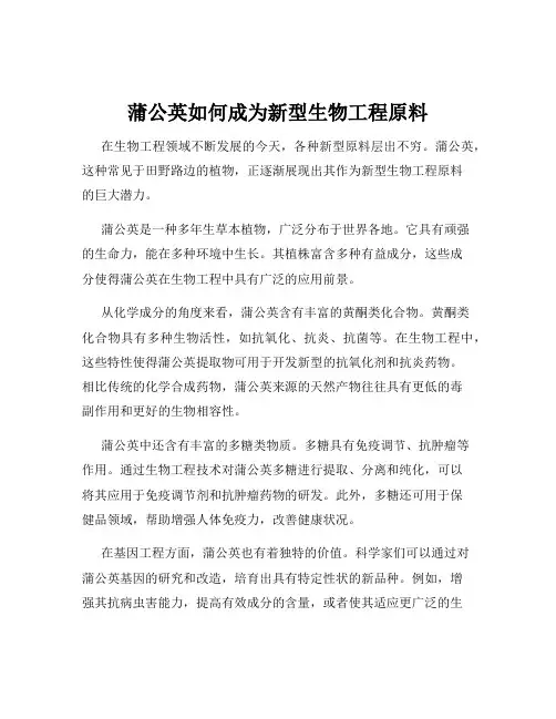 蒲公英如何成为新型生物工程原料