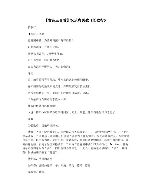 【古诗三百首】汉乐府民歌《长歌行》