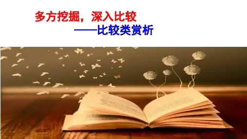 比较类赏析题语言表达修改类试题归类讲解精品课件