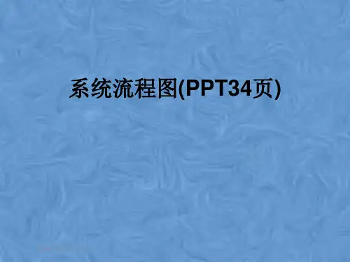 系统流程图(34页)