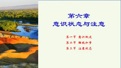 第6章  意识状态与注意(普通心理学)