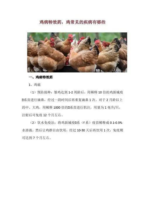 鸡病特效药,鸡常见的疾病有哪些
