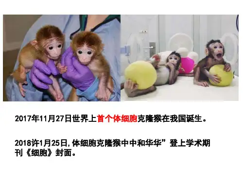 《细胞是生命活动的基本单位》人教版高中生物优秀课件2