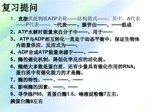人教版高中生物必修一5 PPT.3呼吸作用