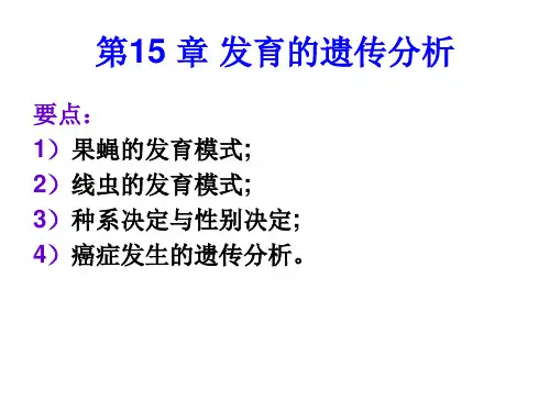 第15章 发育的遗传分析 南开大学遗传学课件