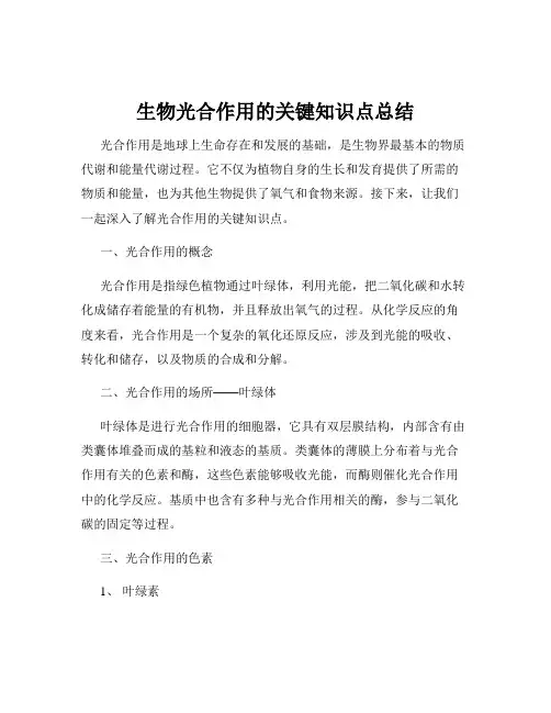 生物光合作用的关键知识点总结