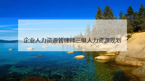 企业人力资源管理师三级人力资源规划