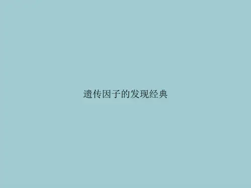 遗传因子的发现经典(优秀文档PPT)