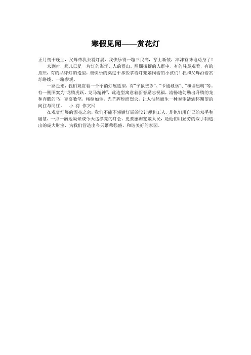 寒假见闻——赏花灯