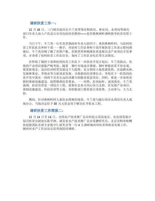 2021调研扶贫工作简报范文