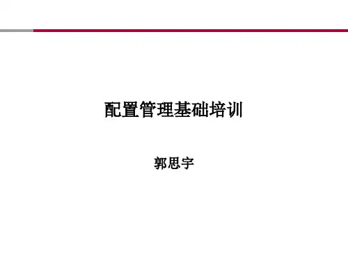 配置管理过程