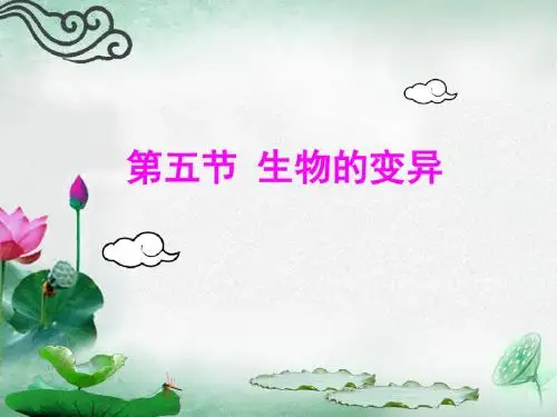 生物的变异-课件(共41张PPT)