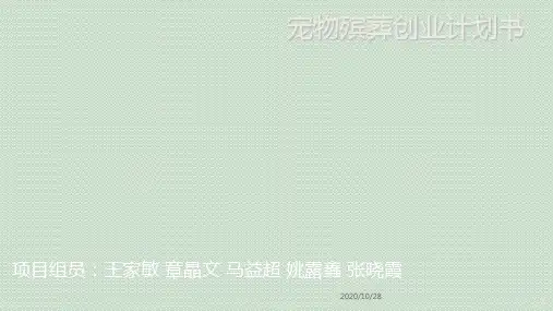 宠物殡葬创业计划书 1 ppt课件