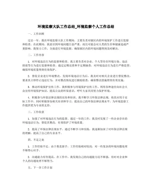 环境监察大队工作总结_环境监察个人工作总结