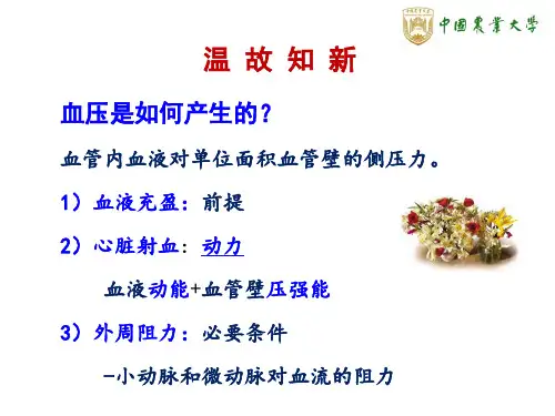 《生理学》第四章-3-心血管活动的调节