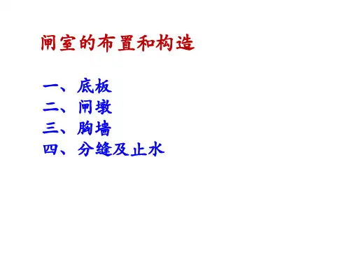 闸室的布置和构造