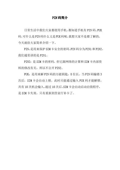 PIN码简介