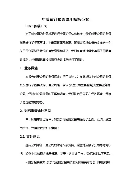 年度审计报告说明模板范文