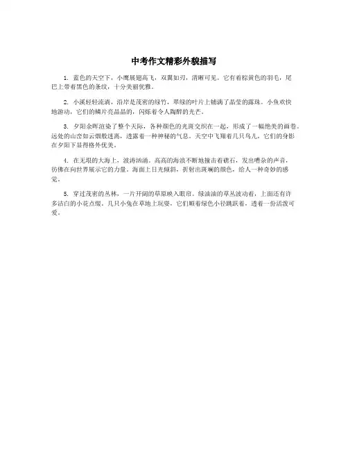 中考作文精彩外貌描写