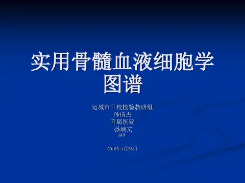 骨髓血液细胞诊断图谱(1)PPT专业课件