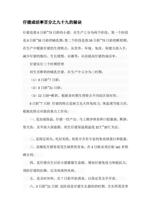 仔猪成活率百分之九十九的秘诀