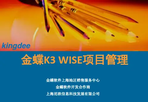金蝶K3_WISE项目管理