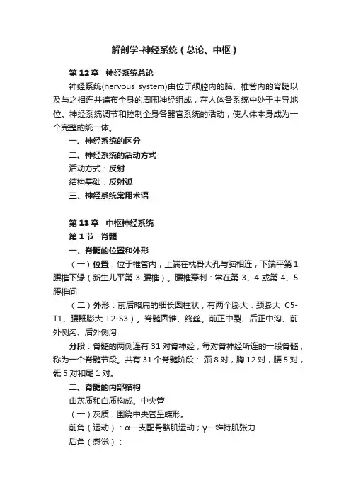 解剖学-神经系统（总论、中枢）