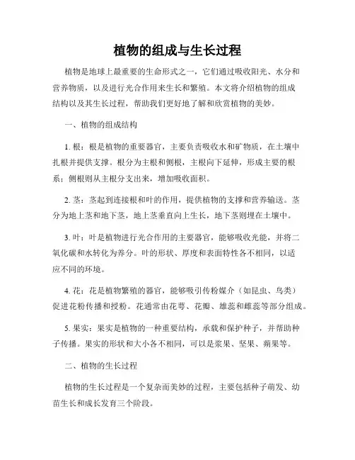 植物的组成与生长过程