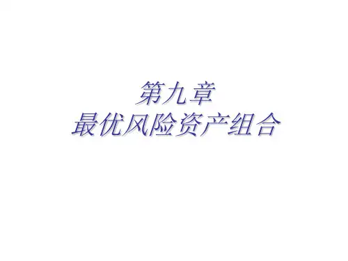 第9章-最优风险资产组合