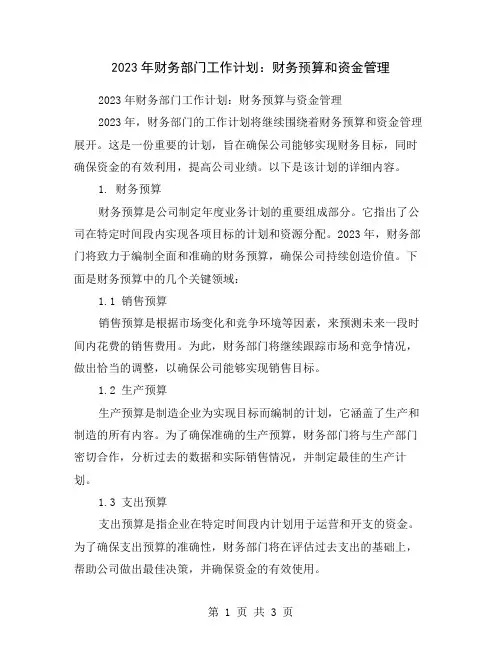 2023年财务部门工作计划：财务预算和资金管理