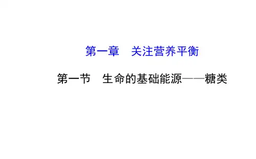 生命的基础能源——糖类课件及练习题含答案详解