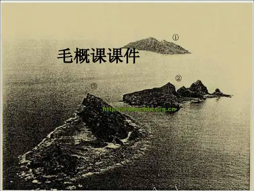 毛概课PPT课件