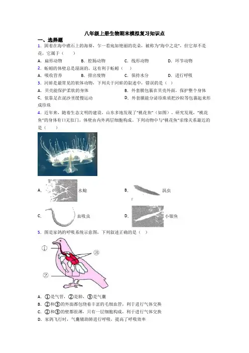 八年级上册生物期末模拟复习知识点