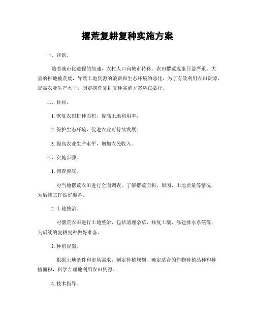撂荒复耕复种实施方案