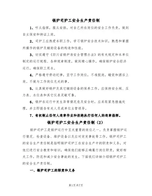 锅炉司炉工安全生产责任制(5篇)