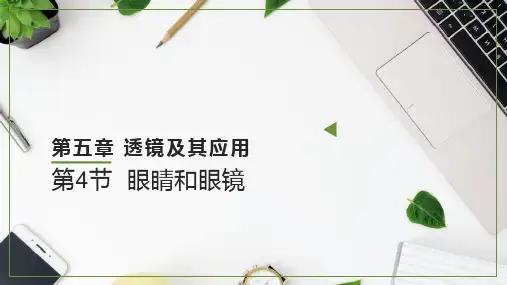 《眼睛和眼镜》PPT教学课件