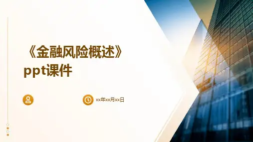 《金融风险概述》课件