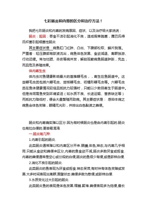 七彩肠炎和内寄的区分和治疗方法！