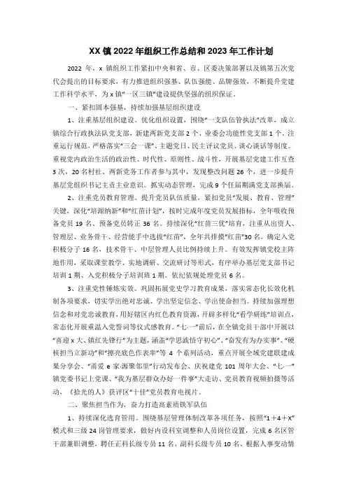 XX镇2022年组织工作总结和2023年工作计划